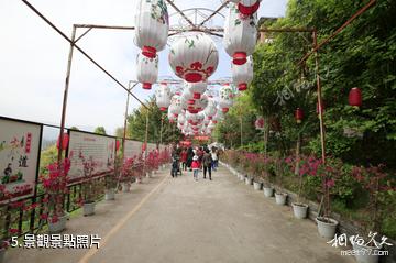 重慶開州盛山植物園-景觀照片