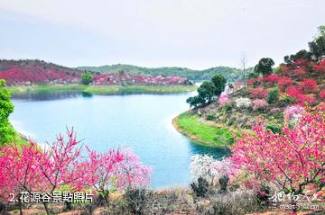 武寧陽光照耀29度假村-花源谷照片