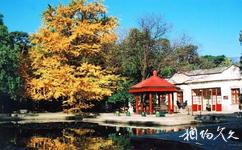 北京香山公园旅游攻略之双清别墅