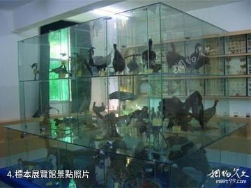 神州荒漠野生動物園-標本展覽館照片