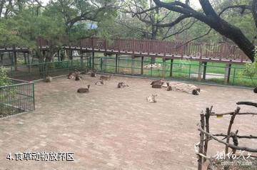柳州动物园-食草动物放养区照片