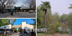 合肥植物园驴友相册