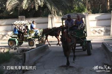 突尼西亞托澤爾市-四輪馬車照片