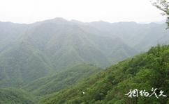 陝西桑園國家級自然保護區旅遊攻略