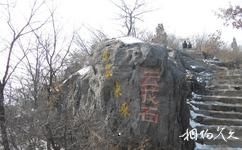 滎陽環(huán)翠峪旅游攻略之云花石