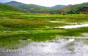 雲南大山包黑頸鶴國家級自然保護區-濕地照片