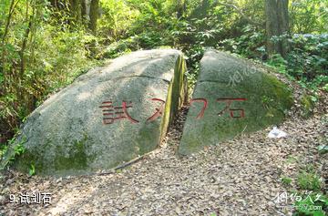 高安华林寨上游湖风景区-试剑石照片