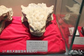 石家莊經濟學院地球科學博物館-胡氏天鎮龍頭骨照片