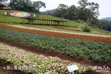 天津萬源龍順度假莊園-開心農場照片