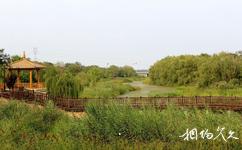 安丘青云湖休闲度假乐园旅游攻略之生态湿地区