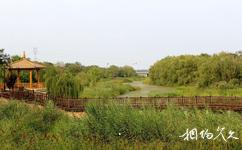 安丘青雲湖休閑度假樂園旅遊攻略之生態濕地區