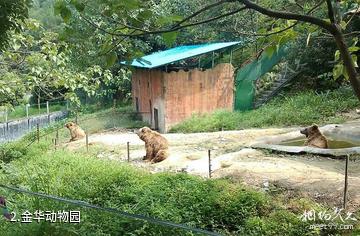 浙江金华动物园-金华动物园照片