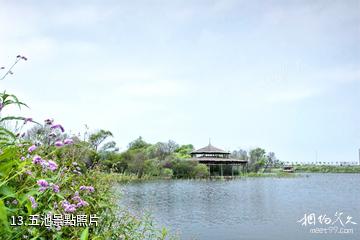 哈爾濱金河灣濕地植物園-五池照片