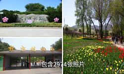 北京植物园驴友相册