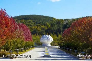 大連橫山北普陀主題文化公園-蓮花廣場照片