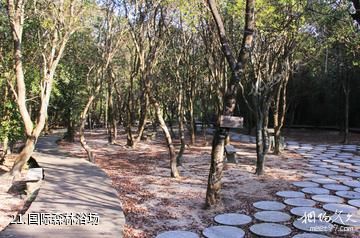 广州从化石门国家森林公园-国际森林浴场照片