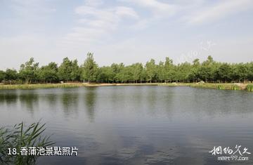 山西孝河國家濕地公園-香蒲池照片