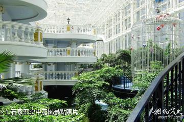 石家莊空中花園照片