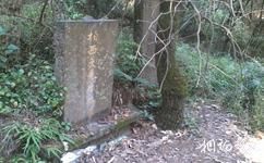 昆明西山森林公园旅游攻略之柏希文墓