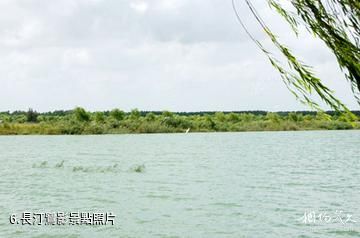 江蘇永豐林農業生態園-長汀鷺影照片