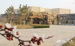 東營黃河三角洲動物樂園旅遊攻略之動物展示區