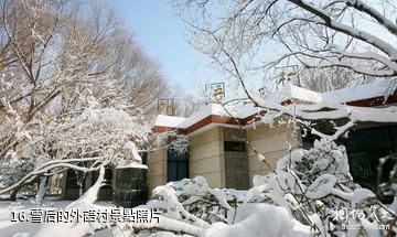 中國石油大學-雪后的外語村照片