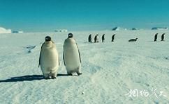 榮成花斑彩石旅遊攻略之南極館