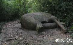 上海佘山國家森林公園旅遊攻略之木魚石