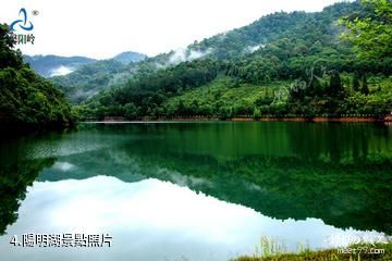 贛州陽嶺國家森林公園-陽明湖照片