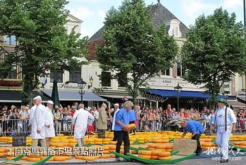 荷蘭阿克馬乳酪市場-阿克馬乳酪市場照片