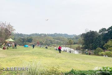 重慶巴南天坪山雲林天鄉景區-生態照片