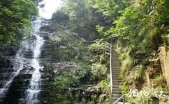 钱江源国家森林公园旅游攻略之天梯瀑