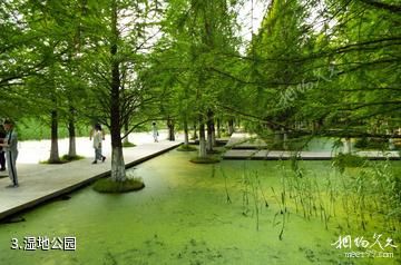 嘉兴湘家荡旅游度假区-湿地公园照片