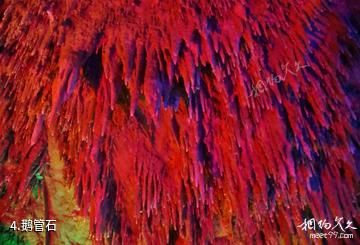 安化龙泉洞风景区-鹅管石照片