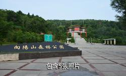 遼源向陽山森林公園驢友相冊