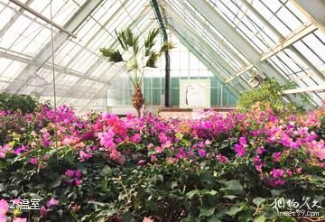 函馆热带植物园-温室照片