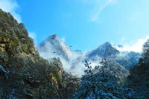 陕西宝鸡太白桃川旅游攻略-桃川镇景点排行榜