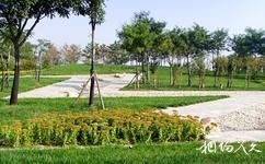 天津海河故道公园游乐园旅游攻略之绿化