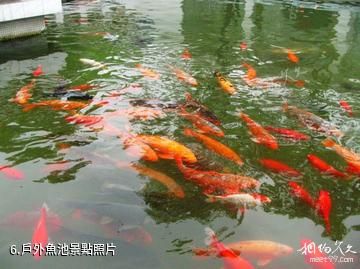 宜昌中華鱘園-戶外魚池照片