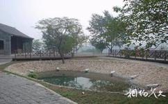 镇江宝华山国家森林公园旅游攻略之观景台