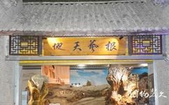 騰衝杜鵑王珍奇古木文化博覽園旅遊攻略之根藝天地