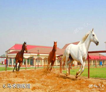 津南国家农业科技园-马术训练馆照片