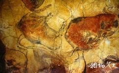 西班牙阿爾塔米拉洞窟旅遊攻略之壁畫