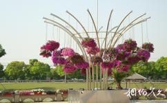 江蘇千燈古鎮旅遊攻略之花卉博覽園