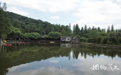 紹興蘭亭國家森林公園旅遊攻略之流翠湖