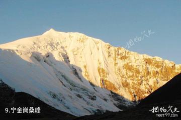 西藏江孜英雄古城文化旅游景区-宁金岗桑峰照片