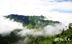 陝西長青國家級自然保護區旅遊攻略