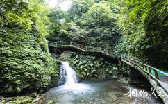 重慶南川神龍峽旅游攻略之峽谷