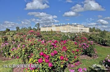 拉脫維亞隆黛爾宮-公爵玫瑰園照片