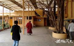 印度達蘭薩拉鎮旅遊攻略之達賴喇嘛廟